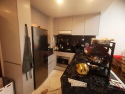 The Lilium (D19), Condominium #460526501